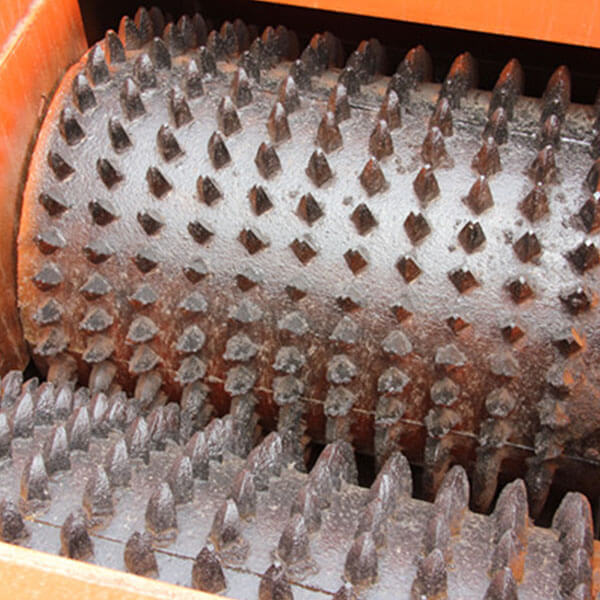 Toothed Roll Crusher 04