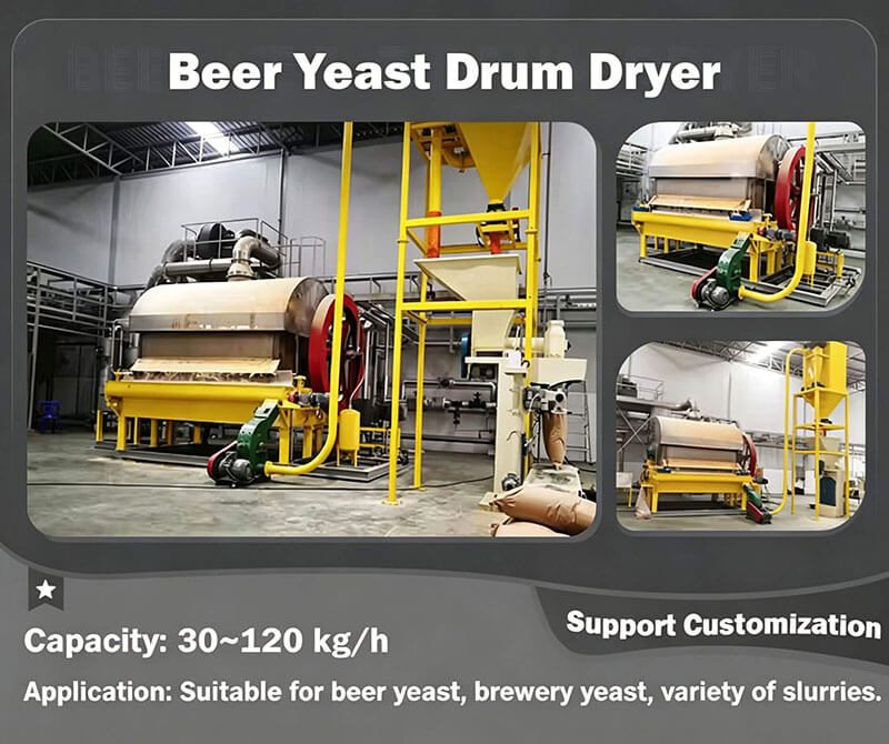 Beer-Yeast-Drum-Dryer-01 What is Beer Yeast Drum Dryer?