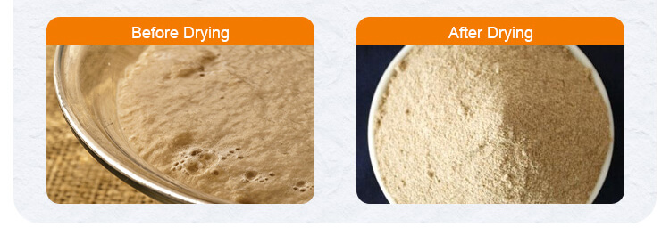 Beer Yeast Drum Dryer Materials 02+ Application Scenarios of Beer Yeast Drum Dryer