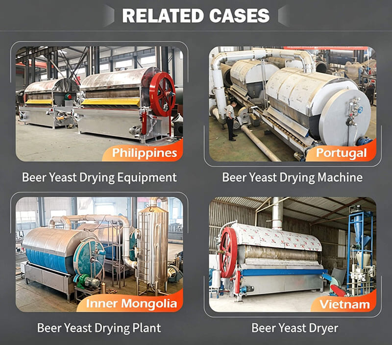 Beer-Yeast-Drum-Dryer-Related-Cases Real Project Cases of Beer Yeast Drum Dryer