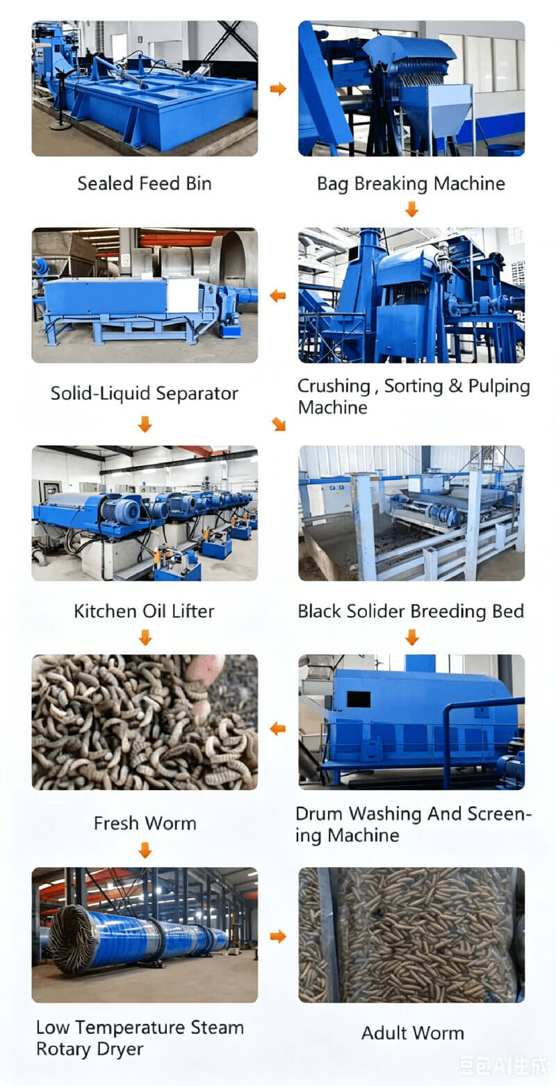 Black-Soldier-Fly-Larvae-Dryer-Process-01- Working Principle & Production Process of Black Soldier Fly Larvae Dryer 02