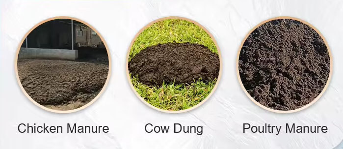 Chicken Manure Dryer Materials 03 Application Scenarios of Chicken Manure Dryer