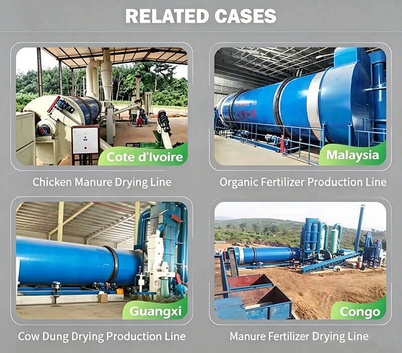 Chicken Manure Dryer Related-Cases- Real Project Cases of Chicken Manure Dryer