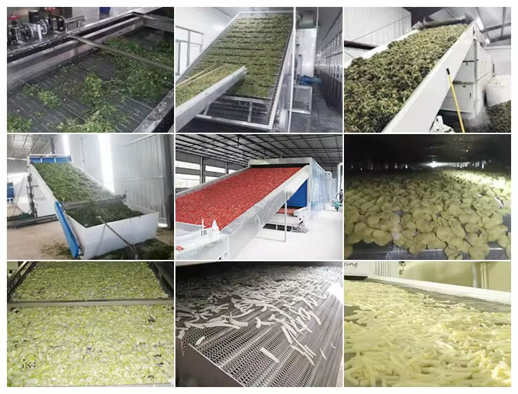 Mesh Belt Dryer Materials 05 Application Scenarios of Mesh Belt Dryer
