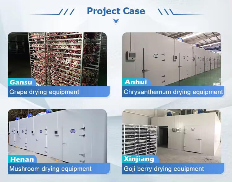 Project Case Real Project Cases of Heat Pump Dryer