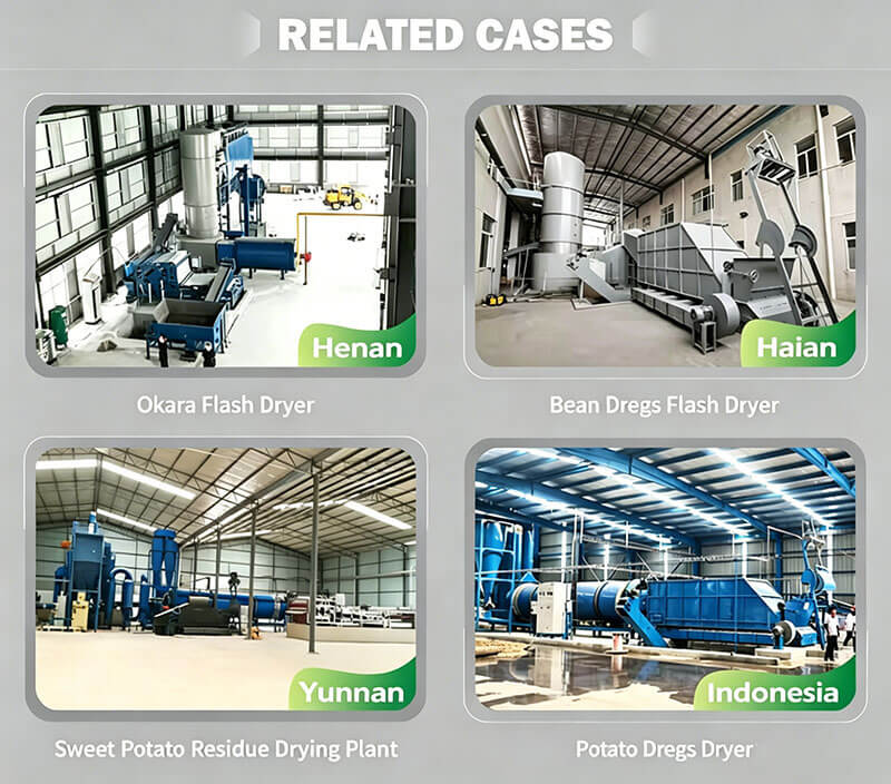Spin Flash Dryer Related-Cases-
